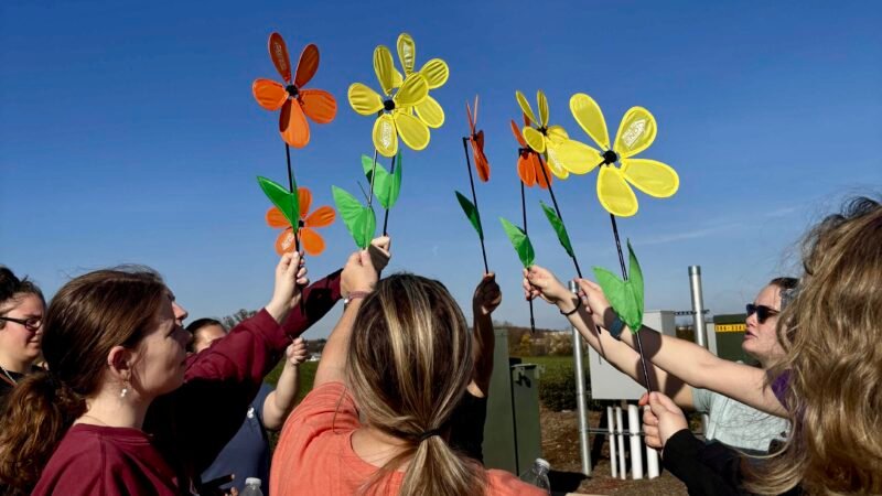 End Alzheimer's Walk