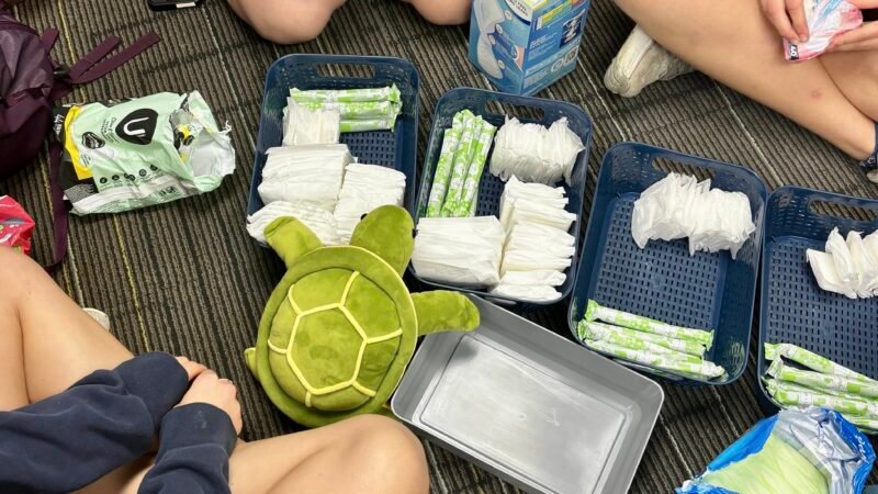 Period Product Boxes